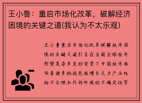 王小鲁：重启市场化改革，破解经济困境的关键之道(我认为不太乐观)