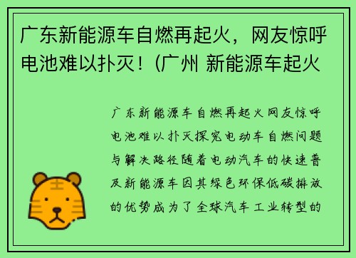 广东新能源车自燃再起火，网友惊呼电池难以扑灭！(广州 新能源车起火)